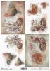 papel de arroz decoupage gallinas, pollos, gallos*Reispapier Decoupage, Hühner, Hähne*рисовая бумага декупаж цыплят, куры, петухи